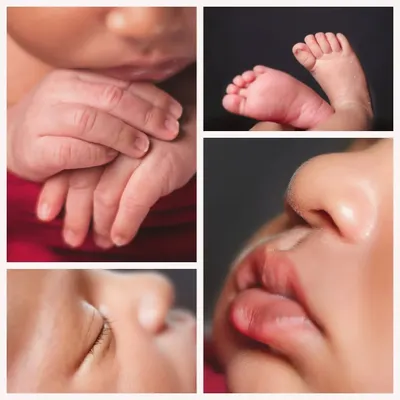 A collage showcasing the precious tiny details of a newborn: clasped hands, tiny feet, delicate lips, and long eyelashes.