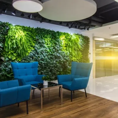 A wide view of our living green wall installation in a corporate lounge. It creates a stunning, immersive backdrop for the seating area, promoting relaxation and clean air for employees and guests.