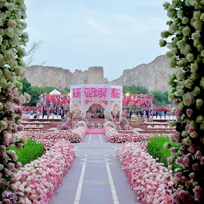A view down the magnificent aisle, lined with a dense carpet of pink roses and hydrangeas, leading to the spectacular floral mandap. The design created a grand yet intimate pathway for the couple.