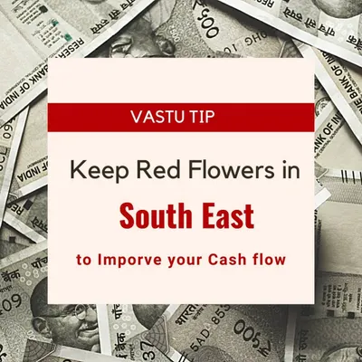 A simple and effective Vastu remedy to enhance your financial prosperity. Placing fresh red flowers in the South-East direction of your home or office can help activate the energy of cash flow and attract new opportunities for wealth.