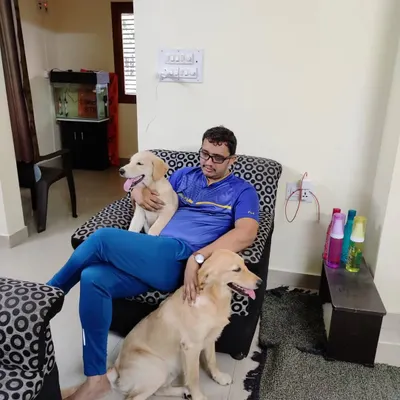 Shreyas with one of our adult Golden Retrievers and a visiting puppy. We are comfortable with dogs of all ages, from playful puppies to calm seniors.