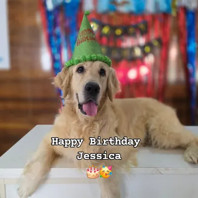 Happy birthday to our warrior princess, Jessica. Celebrating another year of her beautiful life is a victory for all of us. She is a survivor who reminds us every day what true strength looks like.