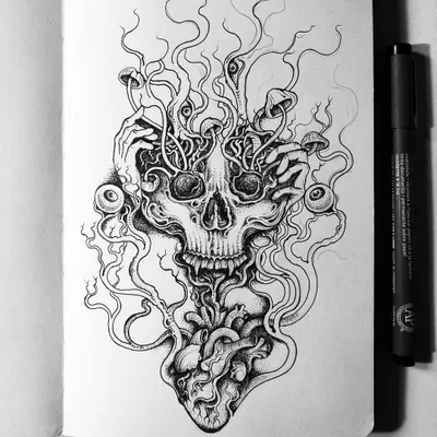 A sketchbook piece exploring the connection between the mind, represented by the skull, and the natural, trippy experience symbolized by mushrooms. The entire design is built from a foundation of an anatomical heart, perfect for a surreal chest tattoo.