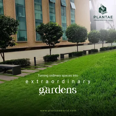 This commercial property's landscape was designed to be both beautiful and low maintenance. The clean lines of the lawn, punctuated by uniformly shaped trees and functional benches, create a professional and welcoming atmosphere for a corporate environment.