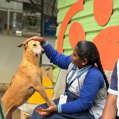 A student from Euro School North shares a gentle moment with one of our resident dogs. School visits are a wonderful way for children to learn about animal welfare and the importance of kindness in action.