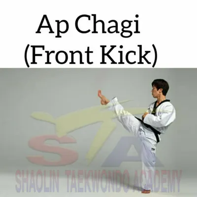 The Ap Chagi, or Front Kick. This is one of the first and most important kicks you will learn, essential for both offense and defense.