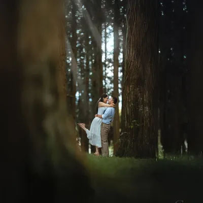 A stolen kiss in a clearing, framed by the dark trunks of ancient trees. This shot uses natural framing to create a secret, intimate world just for the couple.