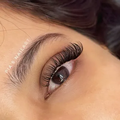 A close-up of my custom Cat Eye lash extensions. This style elongates the eye by using shorter lashes on the inner corner and gradually increasing the length towards the outer corner. It creates a beautiful, winged effect that is both glamorous and sophisticated.