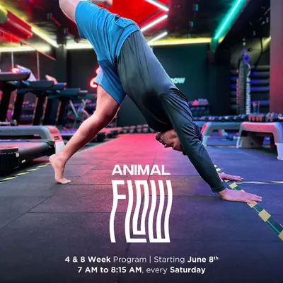 This is our Animal Flow Foundation Course. It's a structured 4 and 8 week program designed to teach you the fundamentals of this dynamic, bodyweight training system.
