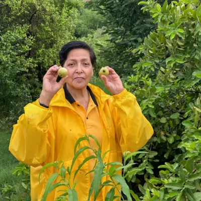 A volunteer from the Lions Club proudly showing the fruits growing at our Noida site. It was a rainy day, but the enthusiasm to plant saplings was high. Community efforts are the key to urban greening.