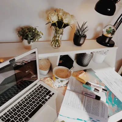 Let your workspace be a place for ideas and strategy. We will act as the bookkeepers for your million-dollar idea, keeping your financial records immaculate.