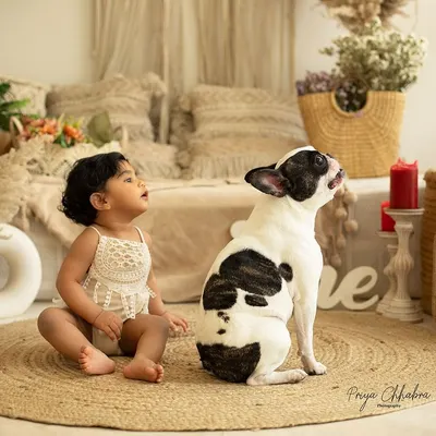 One year full of love, laughter, and furry cuddles! This little girl and her best friend have such a special connection. Including pets in milestone shoots makes the memories even more heartwarming.