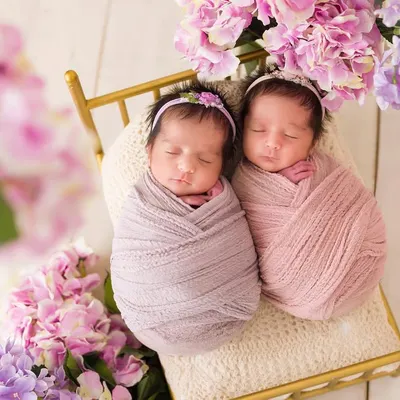 Two peas in a pod. These newborn twin girls are nestled together on a tiny golden bed, surrounded by beautiful lilac and pink flowers. A perfect example of a styled twin newborn photoshoot.