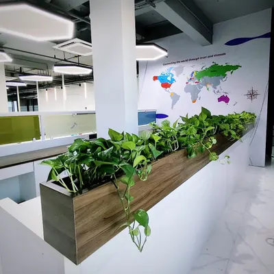 This sleek, wood-finish planter filled with trailing Pothos adds a natural element that softens the clean lines of this modern office. It's a simple yet effective way to introduce greenery into the workspace.