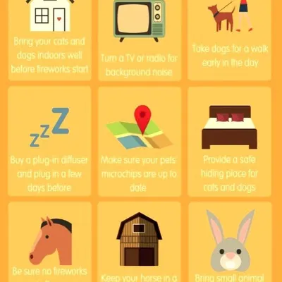 General wellness includes preparing for stressful events. This infographic provides simple, effective tips for keeping your pets safe and calm during fireworks, from creating a safe hiding place to using background noise.