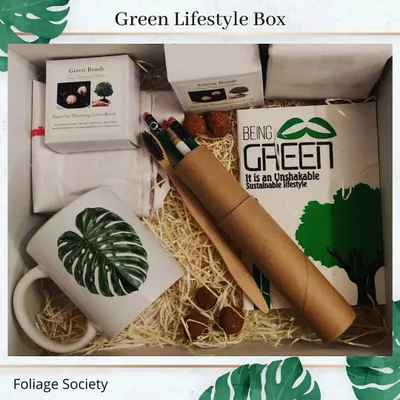 An overhead view of our Green Lifestyle Box, showcasing the complete collection of sustainable items. You can see the Green Bomb box, plantable pencils in a tube, a bamboo toothbrush, a cotton produce bag, and our Monstera leaf mug, all nestled in natural packaging.