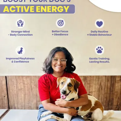 A happy dog and a happy owner. This is the goal of all my work. This photo captures the joy that comes from a balanced, confident dog who has their energy guided in the right way through routine, play, and gentle training.