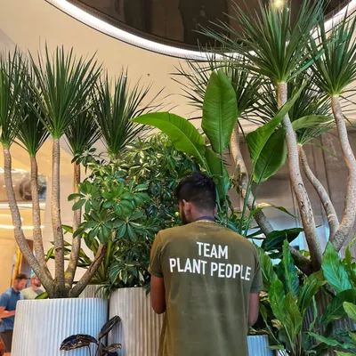 A member of Team Plant People, surrounded by the beautiful arrangements he helps create. We are always grateful for the hard work our team puts in, and we believe that taking care of them is the key to our success.