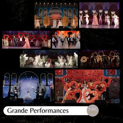 This is what we mean by 'Grande Performances'. We combine choreography with creative props, professional dancers, and stunning stage setups to elevate family performances into spectacular acts.