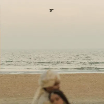 A dreamy, artistic shot of a couple on a Goa beach at dusk. The soft focus, the lone bird, and the hazy light create a poetic and infinitely romantic image, capturing the essence of a destination wedding.