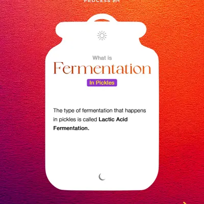 The type of fermentation that happens in our pickles is called Lactic Acid Fermentation. This natural process is what gives pickles their characteristic tangy taste and helps preserve them.