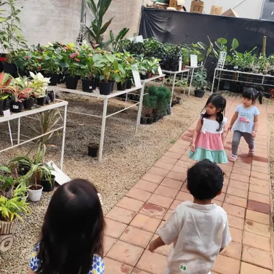 Our playgroup students walk along a path at a local nursery, exploring rows of plants and learning about different types of flora.