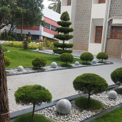 A view of a finished landscaping project where I used a mix of geometric topiary shapes. A central spiral topiary acts as a focal point, complemented by rows of smaller globe-shaped topiaries that line the paved path.