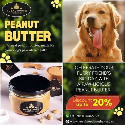 My natural peanut butter is made specifically for your dog's health. It's packed with protein and healthy fats, without any added sugar or xylitol, making it a perfect paw-licious treat for celebrating their big day or just for a daily reward.