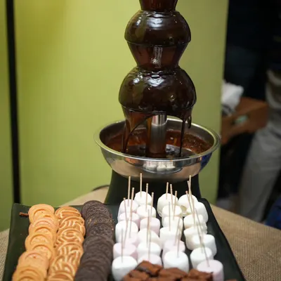 Our chocolate fountain is always a showstopper. I provide plenty of marshmallows, cookies, and brownies for dipping. It's a treat for kids and adults.