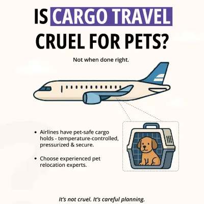 Many pet parents worry if cargo travel is safe. When done right, it is the safest method for international journeys. I only use airlines with pet-safe, temperature-controlled, and pressurized cargo holds, ensuring your pet's comfort is never compromised.