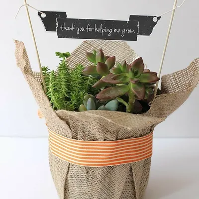 A perfect way to say thank you. This arrangement features a mix of hardy succulents in a rustic jute wrap, complete with a little banner that reads 'thank you for helping me grow'. It's a thoughtful and symbolic corporate or personal gift.