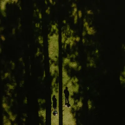 An artistic drone shot showing the tiny silhouettes of a couple standing amidst the giant shadows of pine trees in a forest clearing. This unique perspective captures the scale and magic of a pre-wedding shoot in nature.