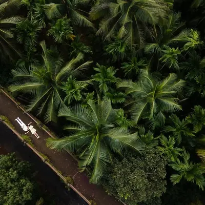 We believe love stories deserve a grand perspective. This aerial drone shot captures a quiet moment of togetherness amidst the sprawling palm groves of Goa, showing how we blend epic landscapes with intimate emotions for your pre-wedding shoot.