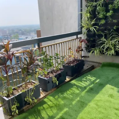 A complete balcony makeover featuring a combination of artificial turf, planters with colorful Cordyline, and a space-saving vertical garden on the wall.