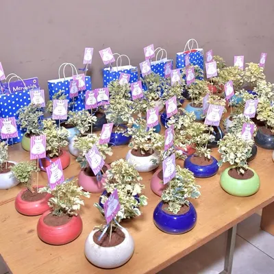 Thoughtful return gifts for the guests. We arranged these small potted plants with custom tags to match the 'Star & Moon' theme of the event.