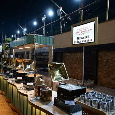 Our 'Shahi Khazana' or royal treasure buffet line. The setup, with its warm lighting and elegant chafing dishes, promises a feast fit for kings.