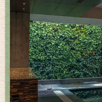 A view from the Kumar Residence, one of our earliest milestone projects. The design features a lush green wall, bringing nature indoors, and a rich palette of materials including a tiger's eye stone detail.