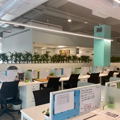 An indoor plantation project I completed for an office in Powai. I installed a long row of easy-to-maintain plants above the cubicles to add life and fresh air to the workspace.