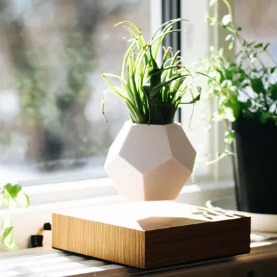 The LYFE planter is an ideal accessory for a bright, sunlit spot in your home. Placed on a windowsill, it allows the levitating air plant to thrive while adding a touch of green to your interior decor.