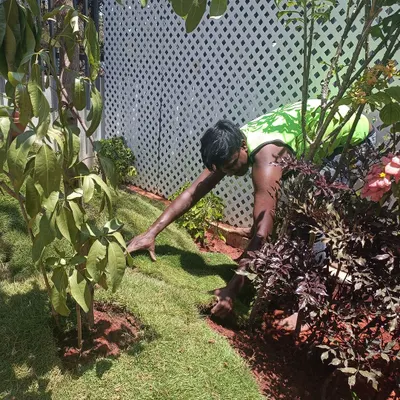 A member of my dedicated team carefully lays fresh sod, ensuring a perfect, seamless lawn. This hands-on work is the foundation of a beautiful and healthy garden.
