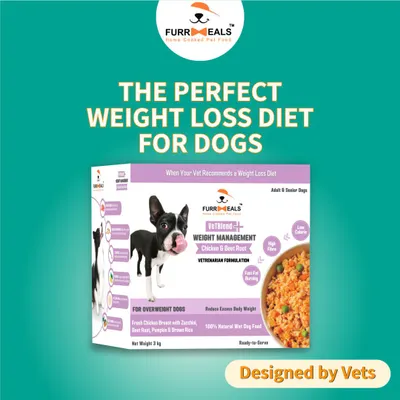 This is the perfect weight loss diet for dogs, designed by vets. It's specially formulated to be low in calories but high in protein and fiber, ensuring your dog loses weight without losing out on essential nutrition or feeling hungry.