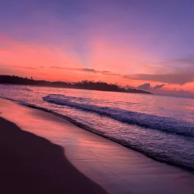 The sky in Sri Lanka paints a different masterpiece every evening. Moments like these, watching the sunset after a day of yoga and exploration, are what make our international retreats so magical.
