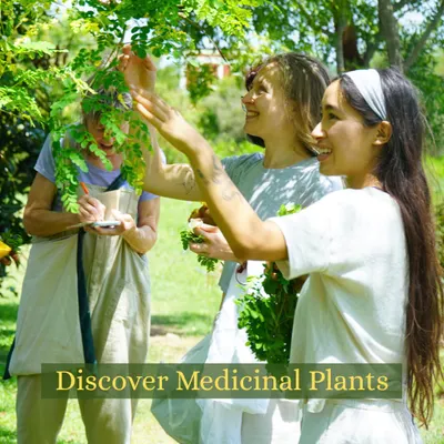 Students on a medicinal plant walk, learning to identify different herbs growing in our sacred forest. This is a key part of understanding Ayurveda, connecting textbook knowledge with the living plant.