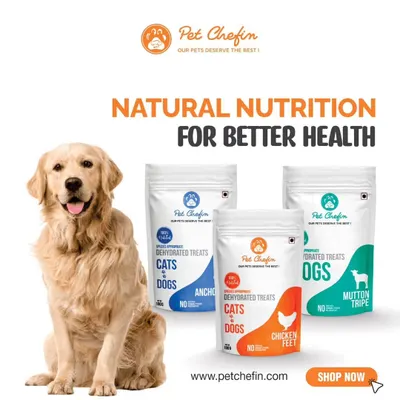 We believe in natural nutrition for better health. Our range includes Anchovies for a shiny coat, Chicken Feet for joint support, and Mutton Tripe for a healthy gut, all made with no preservatives or fillers.