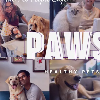 Our café is a community hub where pets and people come together. From a quiet morning coffee to a puppy's first social outing, this is where our belief in whole pet living comes to life.