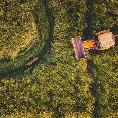 The tragic story of tiger ST2303, who returned to his ancestral territory in Haryana only to find it converted to farmland. This drone shot was taken during the rescue operation before he was relocated and later died.