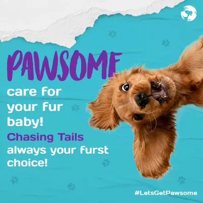 I believe in providing pawsome care for every fur baby that walks through my doors. My hydrotherapy pool offers a gentle yet effective workout, making it an excellent choice for pet fitness and fun.