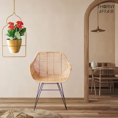 Elevate your greenery with this elegant hanging metal planter. Its jharokha-inspired shape and golden finish turn a simple plant into a piece of living wall art, perfect for adding life and a touch of shine to a quiet corner.