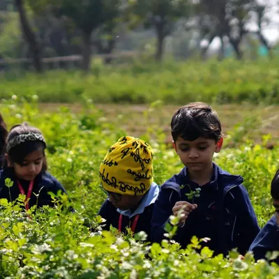 Students from HDFC School exploring our coriander patch. A farm visit is a fantastic opportunity for children to learn where their food and herbs come from.