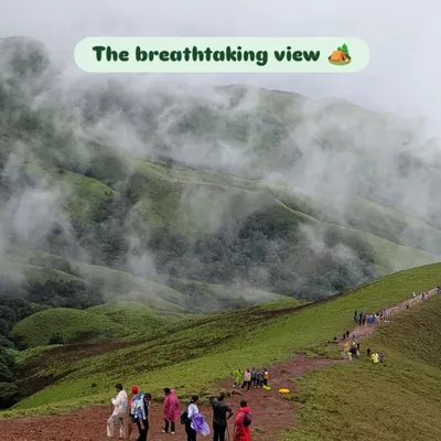 This is the breathtaking view that awaits you on the Netravathi trek. The trail offers a panoramic perspective of the rolling green hills of the Western Ghats, especially vibrant during the monsoon.